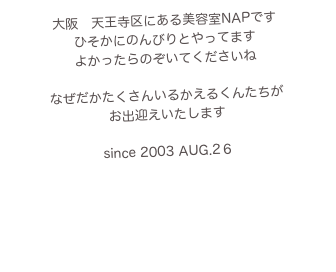 大阪　天王寺区にある美容室NAPです
ひそかにのんびりとやってます
よかったらのぞいてくださいね

なぜだかたくさんいるかえるくんたちが
お出迎えいたします

since 2003 AUG.2６

NAP FACEBOOK PAGE



